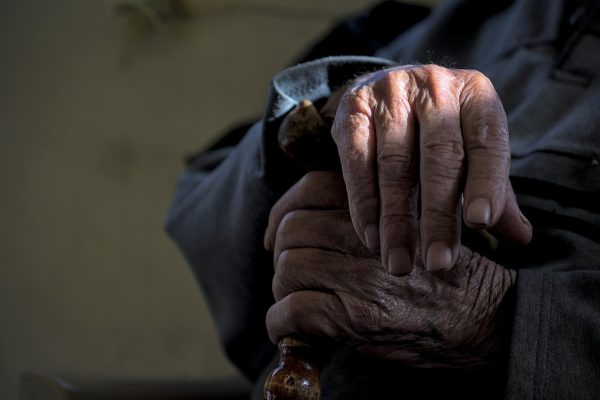 藏锋电视剧师门长辈示意图，白发老人手执书卷侧影，光线柔和